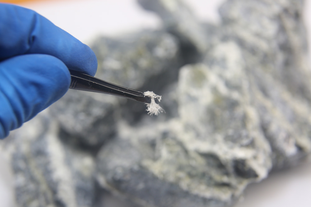 Focus On Testing Asbestos Sampling