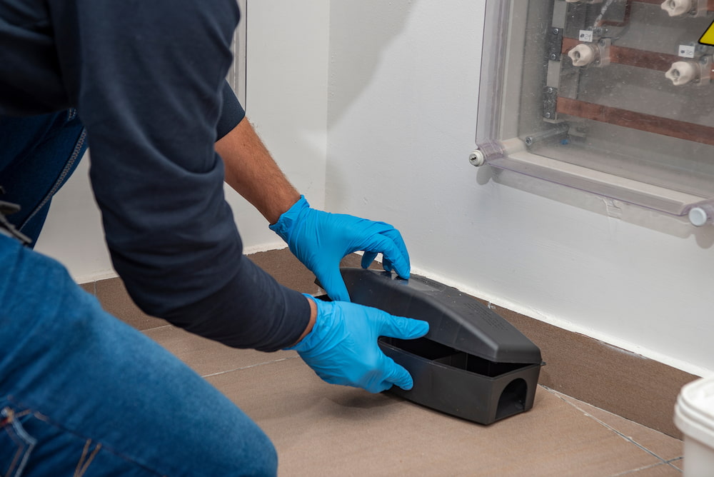 Focus On Testing Commercial pest control