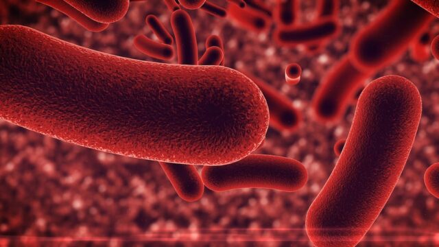 Legionella and landlords’ responsibilities