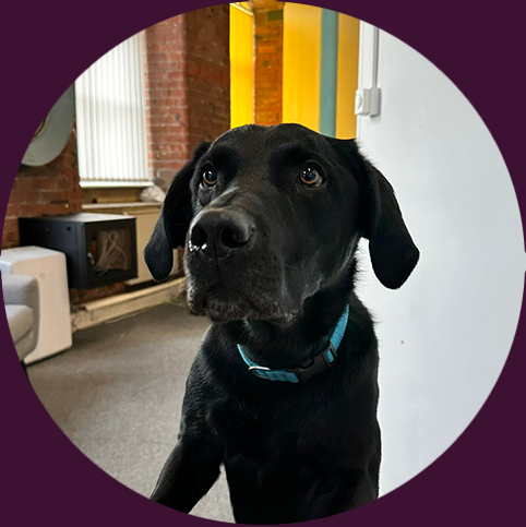 Portrait of Sol is the Office Mascot at Focus On Testing